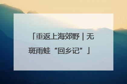 重返上海郊野｜无斑雨蛙“回乡记”