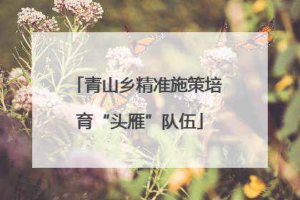 青山乡精准施策培育“头雁”队伍