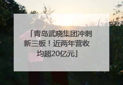 青岛武晓集团冲刺新三板!近两年营收均超20亿元