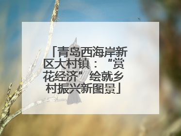 青岛西海岸新区大村镇：“赏花经济”绘就乡村振兴新图景
