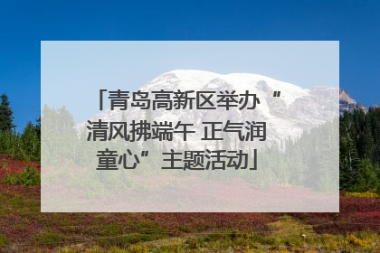 青岛高新区举办“清风拂端午 正气润童心”主题活动