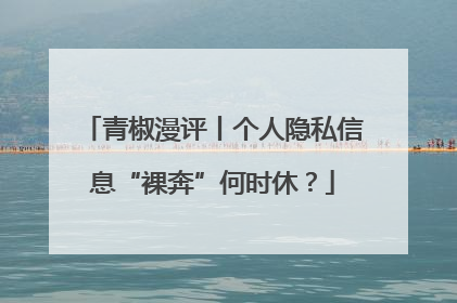青椒漫评丨个人隐私信息“裸奔”何时休？