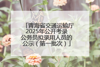 青海省交通运输厅2025年公开考录公务员拟录用人员的公示（第一批次）