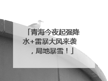 青海今夜起强降水+雷暴大风来袭，局地暴雪！