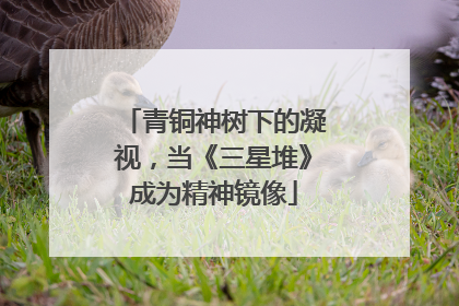 青铜神树下的凝视，当《三星堆》成为精神镜像