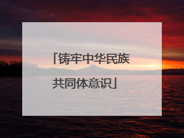 铸牢中华民族共同体意识