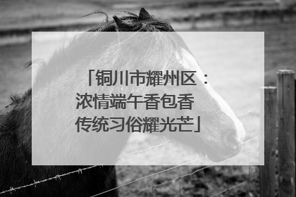 铜川市耀州区：浓情端午香包香 传统习俗耀光芒