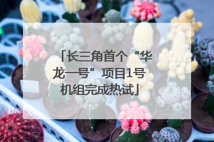 长三角首个“华龙一号”项目1号机组完成热试