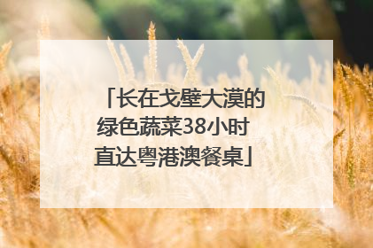 长在戈壁大漠的绿色蔬菜38小时直达粤港澳餐桌
