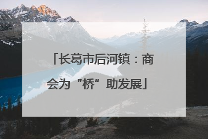 长葛市后河镇：商会为“桥”助发展