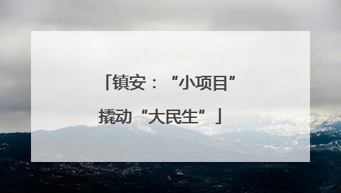 镇安：“小项目”撬动“大民生”