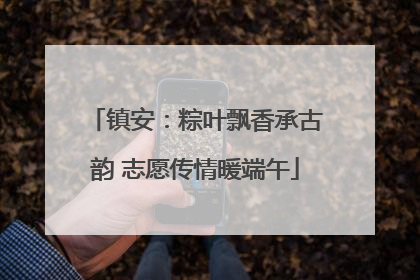 镇安：粽叶飘香承古韵 志愿传情暖端午