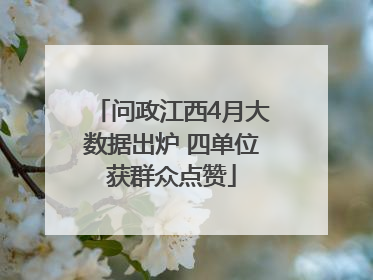 问政江西4月大数据出炉 四单位获群众点赞