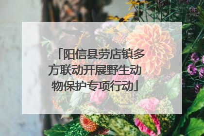 阳信县劳店镇多方联动开展野生动物保护专项行动