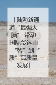 陆海新通道“最强大脑” 带动国际货运由“智”到“质”高质量发展