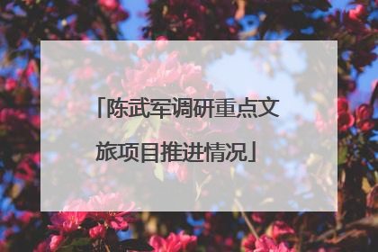 陈武军调研重点文旅项目推进情况