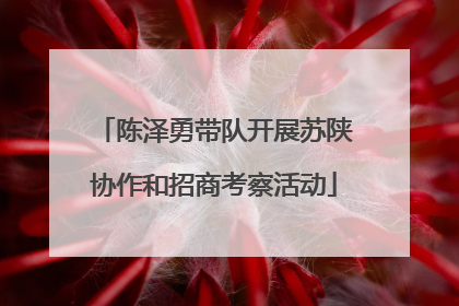 陈泽勇带队开展苏陕协作和招商考察活动