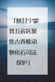 陕甘宁蒙晋五省区聚焦古脊椎动物化石司法保护