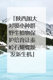 陕西加大对极小种群野生植物保护培育让秦岭石蝴蝶焕发新生机
