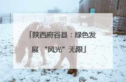 陕西府谷县：绿色发展 “风光”无限