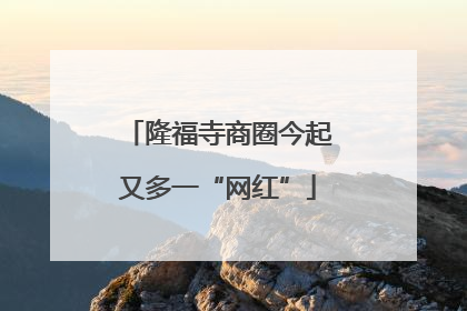 隆福寺商圈今起又多一“网红”