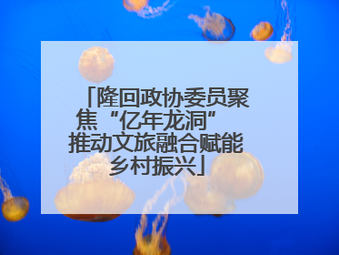 隆回政协委员聚焦“亿年龙洞” 推动文旅融合赋能乡村振兴