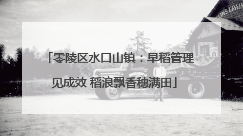 零陵区水口山镇：早稻管理见成效 稻浪飘香穗满田