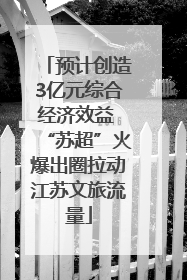 预计创造3亿元综合经济效益 “苏超”火爆出圈拉动江苏文旅流量