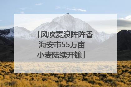 风吹麦浪阵阵香 海安市55万亩小麦陆续开镰