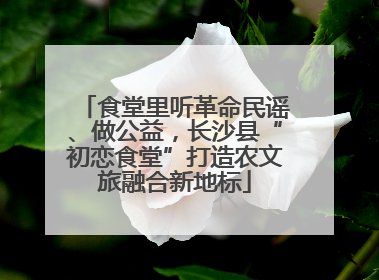 食堂里听革命民谣、做公益，长沙县“初恋食堂”打造农文旅融合新地标