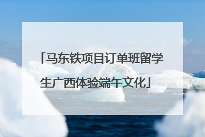 马东铁项目订单班留学生广西体验端午文化