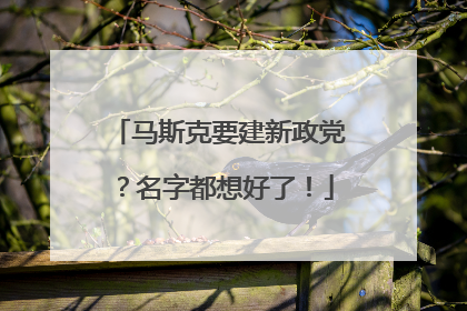 马斯克要建新政党？名字都想好了！