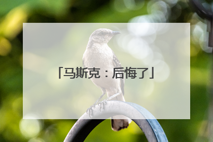马斯克：后悔了