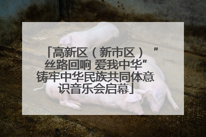 高新区（新市区）“丝路回响 爱我中华”铸牢中华民族共同体意识音乐会启幕