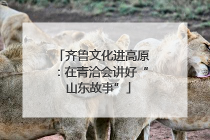 齐鲁文化进高原：在青洽会讲好“山东故事”