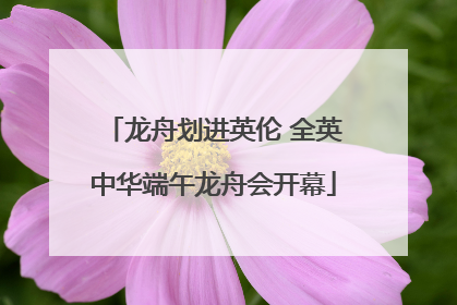 龙舟划进英伦 全英中华端午龙舟会开幕