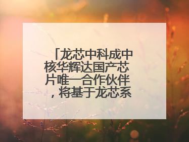 龙芯中科成中核华辉达国产芯片唯一合作伙伴，将基于龙芯系列正向适配