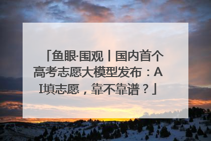 鱼眼·围观丨国内首个高考志愿大模型发布：AI填志愿，靠不靠谱？