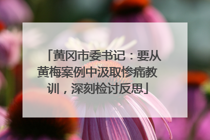 黄冈市委书记：要从黄梅案例中汲取惨痛教训，深刻检讨反思