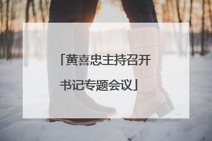 黄喜忠主持召开书记专题会议