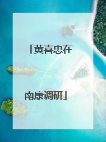 黄喜忠在南康调研