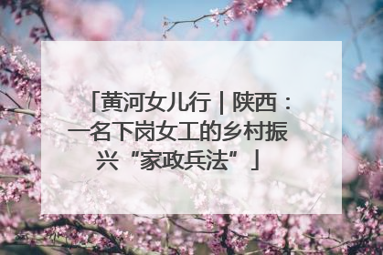 黄河女儿行｜陕西：一名下岗女工的乡村振兴“家政兵法”
