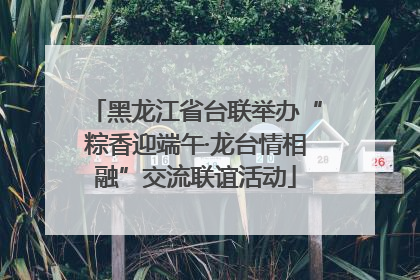 黑龙江省台联举办“粽香迎端午·龙台情相融”交流联谊活动