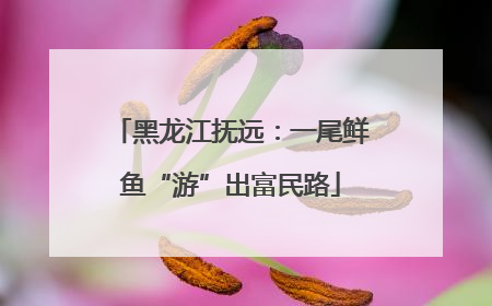 黑龙江抚远：一尾鲜鱼“游”出富民路