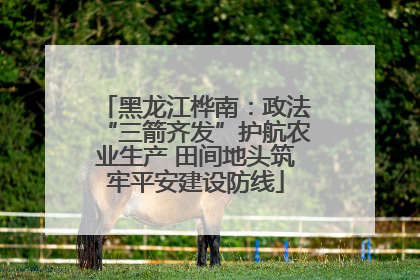 黑龙江桦南：政法“三箭齐发”护航农业生产 田间地头筑牢平安建设防线