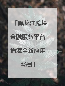 黑龙江跨境金融服务平台增添全新应用场景
