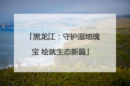黑龙江：守护湿地瑰宝 绘就生态新篇