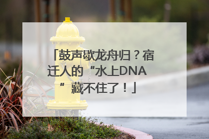 鼓声歇龙舟归？宿迁人的“水上DNA”藏不住了！
