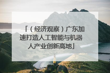 （经济观察）广东加速打造人工智能与机器人产业创新高地