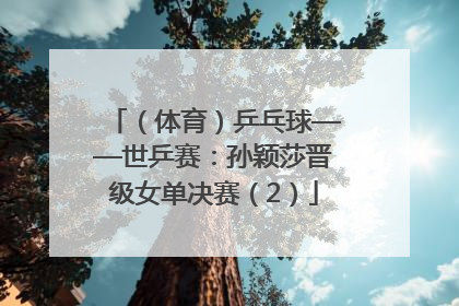 （体育）乒乓球——世乒赛：孙颖莎晋级女单决赛（2）